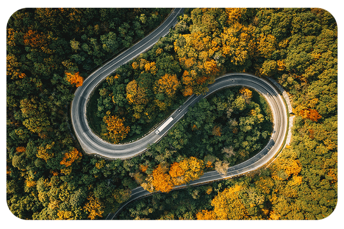 Curved Forest Road