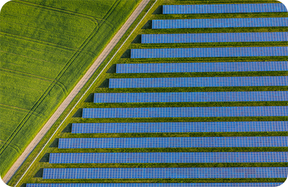 Solar Farm